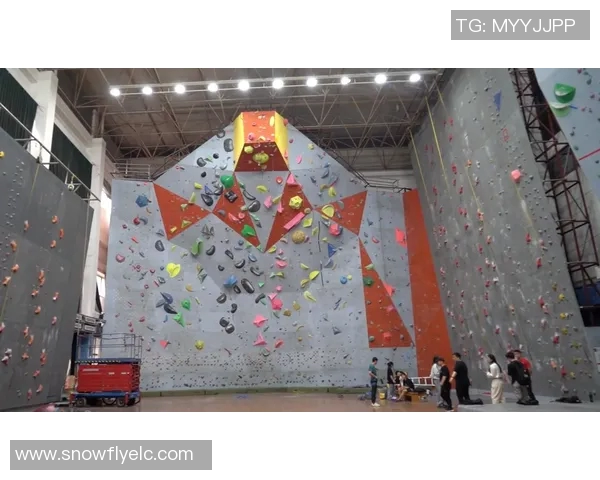 赛后分析：深圳攀岩队与武汉攀岩队个人能力对比全面解读