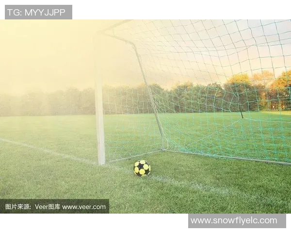 在阳光明媚的草地上踢足球的快乐时光与友谊的故事