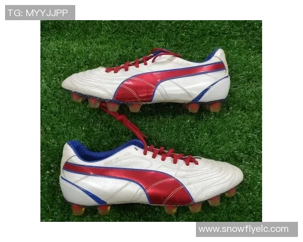 小凯足球：从零基础到足球小将的成长之路与训练秘籍分享