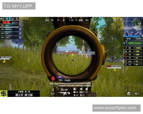 和平精英焦点：深入分析FPX团队协作与战术配合的成功之道